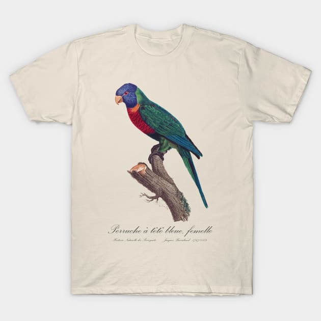 Rainbow Lorikeet female - 19th century Jacques Barraband Illustration T-Shirt by SPJE Illustration Photography